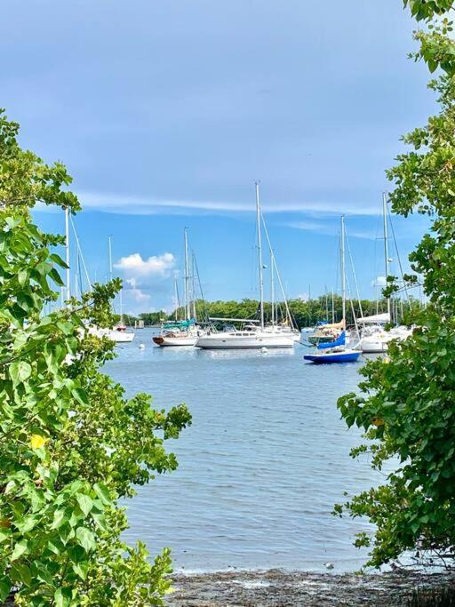 Groveo4 10 Min From The Beach Miami Luaran gambar