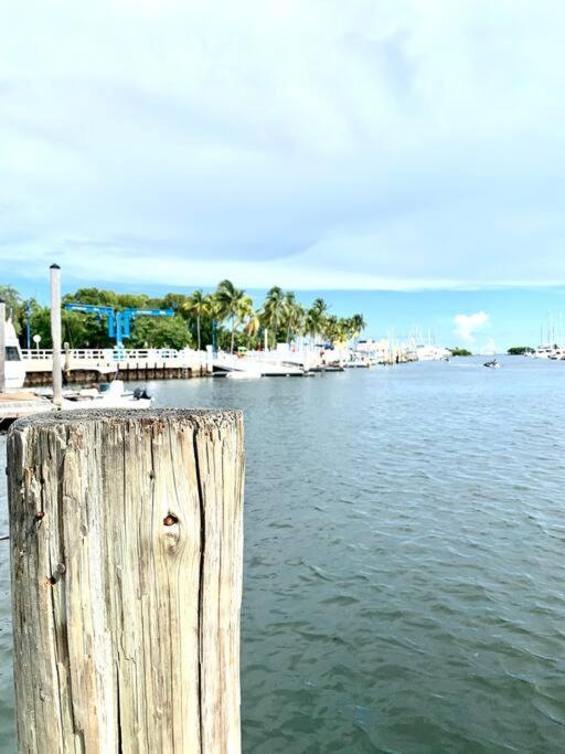 Groveo4 10 Min From The Beach Miami Luaran gambar